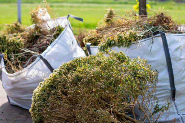 Best Hoarding Cleanup  in Camp Point, IL
